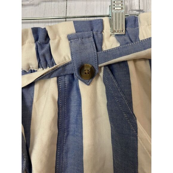 NWT American Eagle Outfitters AE Women's Shorts Lined Striped size XL - Picture 4 of 6